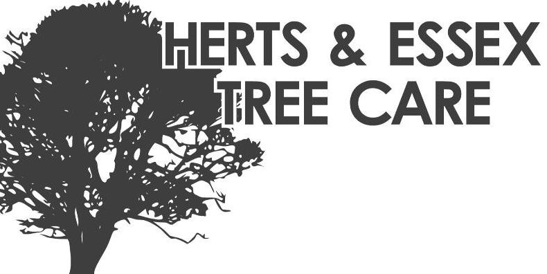 Herts and Essex Tree Care